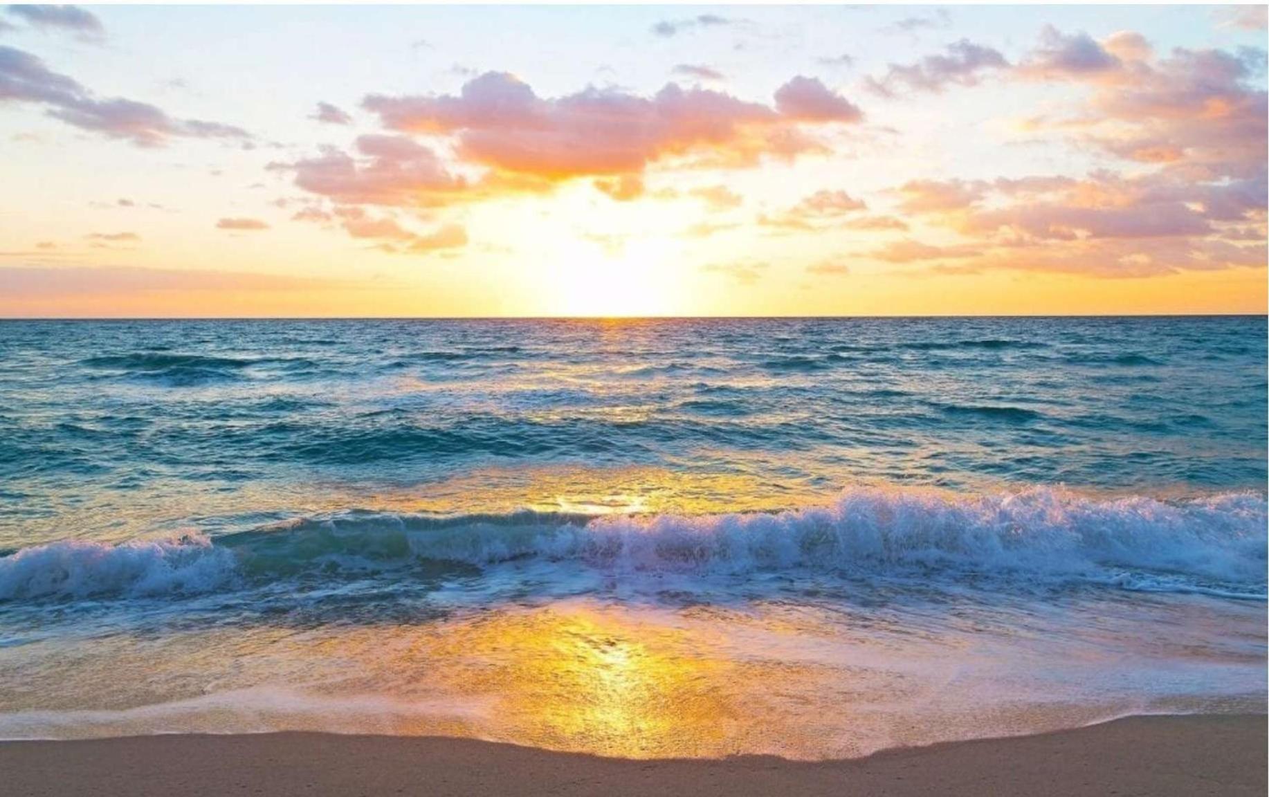 2602 E Hallandale Beach Blvd 1 Br Villa Eksteriør billede